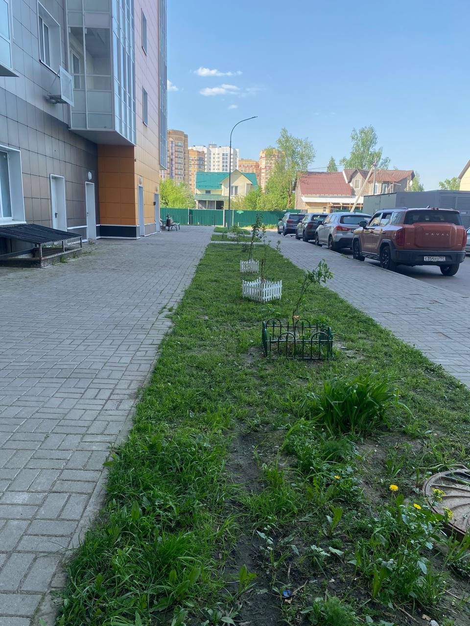 Изображение_1